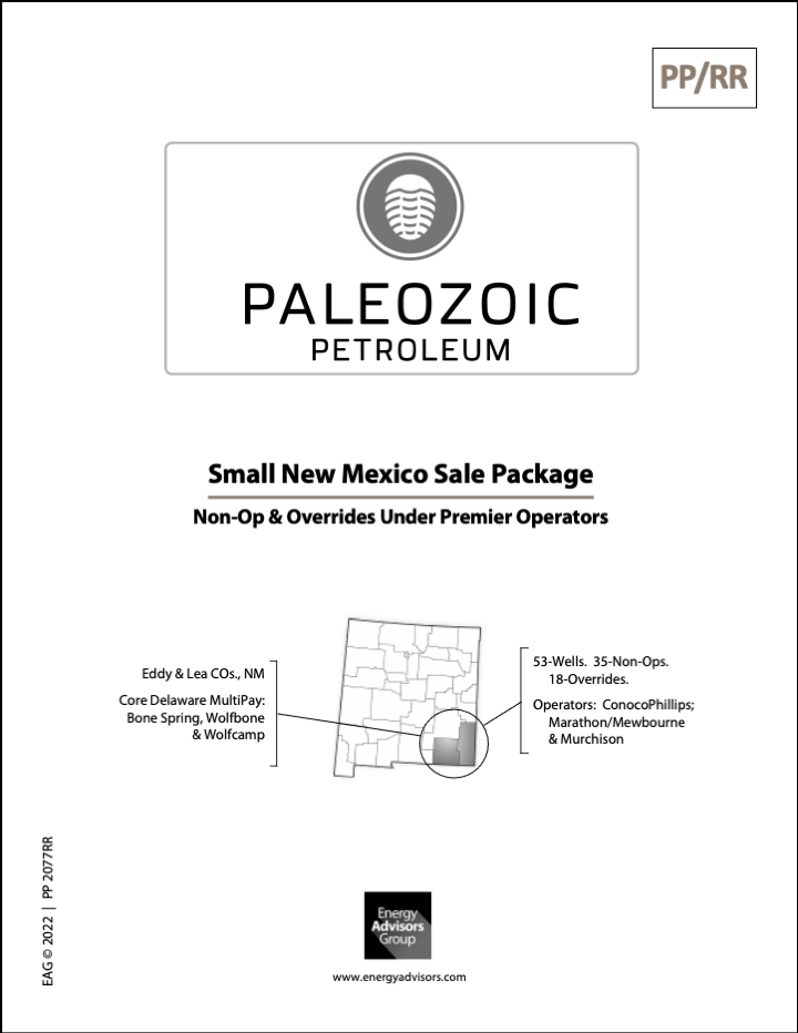 SMALL NEW MEXICO NONOP - Energy Advisors Group SMALL NEW MEXICO NONOP
